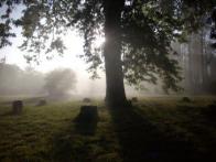 Séjours chamaniques dans les Landes
